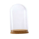Glass Display Cloche Bell Jar Plants Flower Preservation Vase Wood Cork L