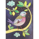 5D DIY Special Shaped Diamond Painting Bird Cross Stitch Mosaic Craft Kits