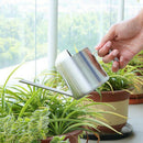 Mini Indoor Watering Can Stainles Steel Spout for Plant Flower Watering Garden