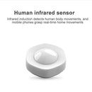 1pc WIFI Human Body PIR Sensor Smart Detector Home Gateway Driveway Security