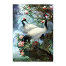 Peacock 5D Diamond Painting Embroidery DIY Cross Stitch Craft Needlework