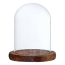 Clear Cloche Dome Plants & Flowers Jar for Home Garden Decoration Brown