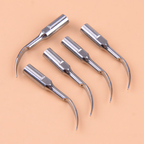 5X Dental Scaling Tips GD1 fit for Satelec DTE Ultrasonic Scaler Handpiece SALE