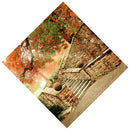 Photography Studio Backdrop Floor Fall Decor Prop Vinyl Wedding Background
