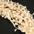 20 Yard 10MM PomPom Trim Ball Fringe Ribbon DIY Sewing Accessory Lace Beige