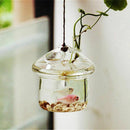 Mushroom-shaped Hanging Glass Planter Vase Rumble Fish Tank Terrarium Conta