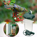 Automatic Window Wild Bird Feeder Seeds Feed Hanging Suction Feeding Cup Gar Hn