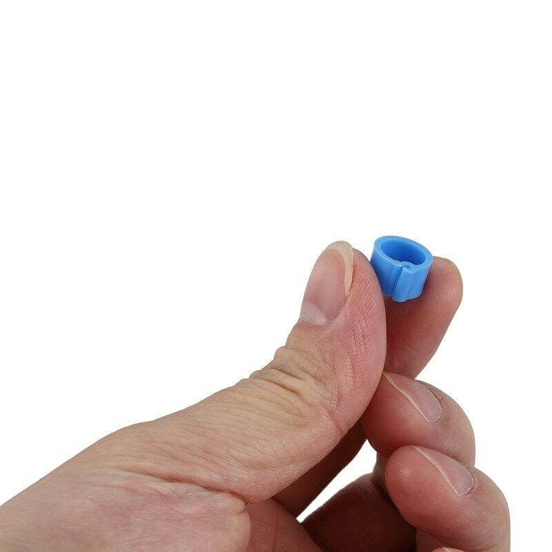 150pcs Bird Rings 8mm Leg Bands Clip Pigeon Dove Chicks Duck Bantam Poultry Q4F8