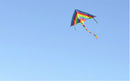 1m Rainbow Delta Kite outdoor sports for kids Toys easy to fly Hot!