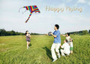 1m Rainbow Delta Kite outdoor sports for kids Toys easy to fly MOAU
