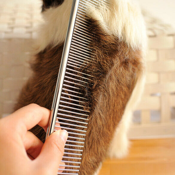 New Dog Cat Pet Stainless Steel Trimmer Grooming Teeth Comb Brush