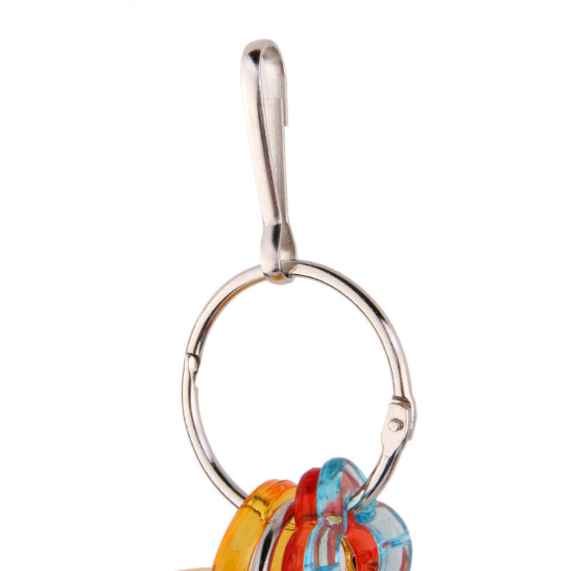 Acrylic Colorful Pet Parrots Chinchilla Parakeet