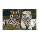 2 Tigers 5D Diamond Painting Embroidery DIY Cross Stitch Craft Needlework