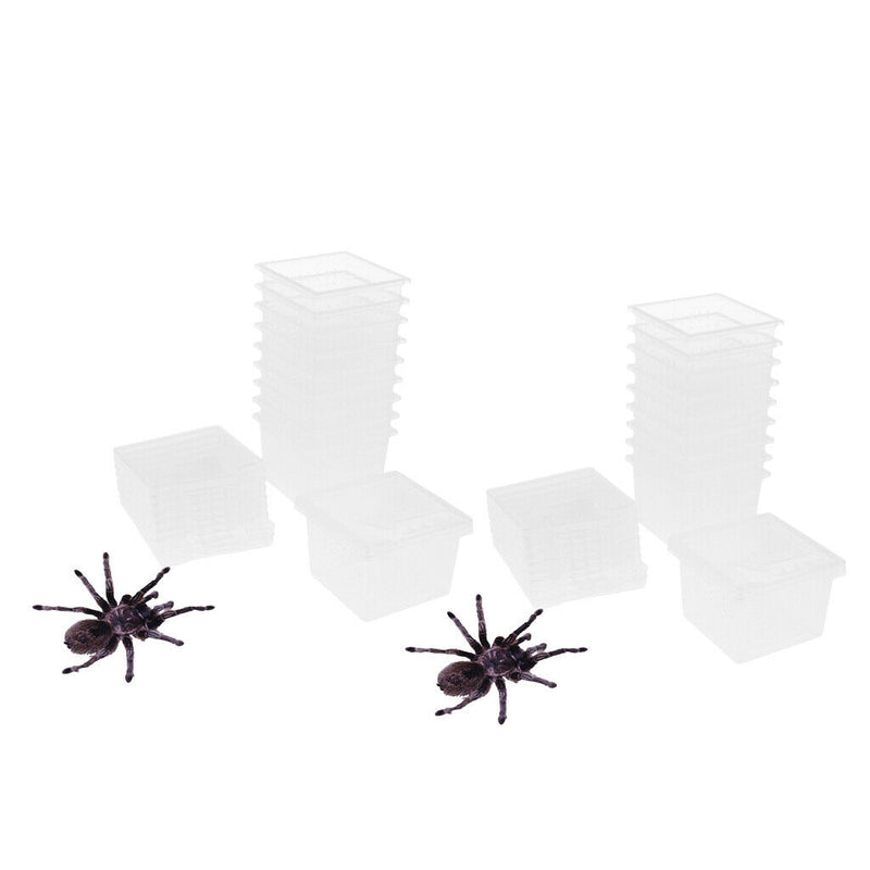 20 Pcs Plastic Feeding Box Pet Insect Reptile Breeding Cage Hatching Container