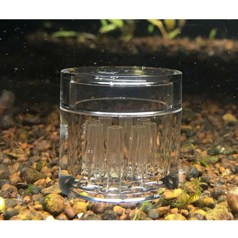 8 Holes Aquarium Tank Catcher Trap Tube Trapper For Planaria Worm Leech