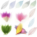 50 Natural Magnolia Skeleton Leaves Creative DIY Card Leaf Scrapbook Decor