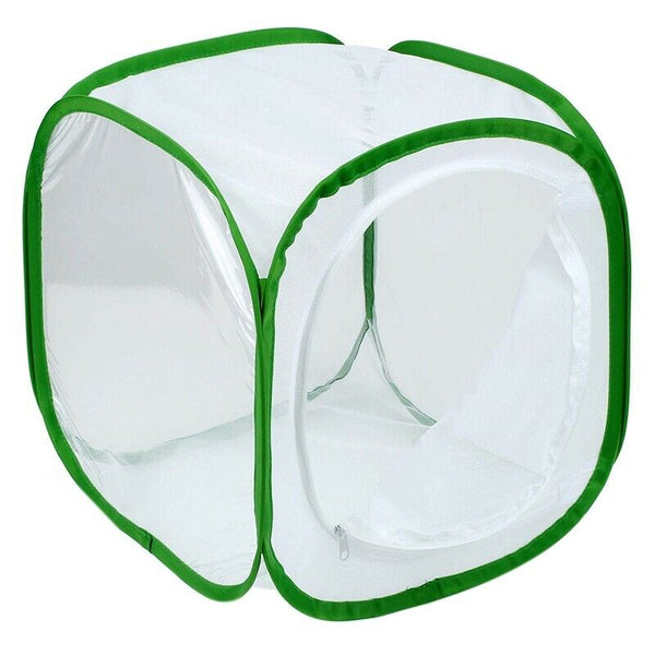 Insect and Butterfly Habitat Cage Terrarium Pop-up 12 x 12 x 12 Inches (Whi Z9H2