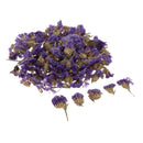 5 Bags Pressed Dried Flower Herbarium DIY Arts Crafts Scrapbooking