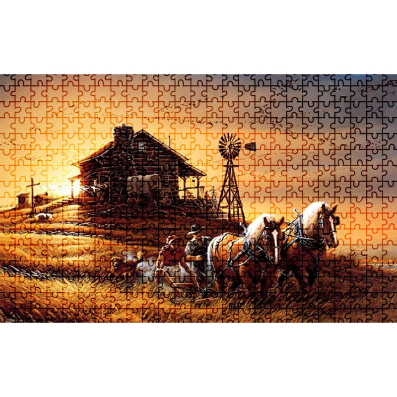 1000pcs Landscape Puzzle DIY Jigsaw Educational Toys Kids Adults Gift (D)