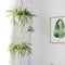 Macrame Double Plant Hanger Indoor Outdoor 2 Tier Hanging Planter Cotton