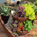 Garden Sky Succulent Plant House Herb Planter Pot Trough Box Bed Flower Baske!E