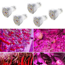 5x LED Plant Grow Lamp Bulb for Hydroponic Greenhouse E27 Full Spectrum