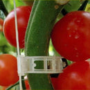 Plant Fixing Vine Tomato Stem Clips Supports Connect Trellis Twine Cages Flowers