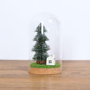 Glass Display Cloche Bell Jar Plants Flower Preservation Vase Wood Cork L