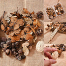 Natural Dried Flowers Pine Cone Acorn Artificial Flower Home Decoration