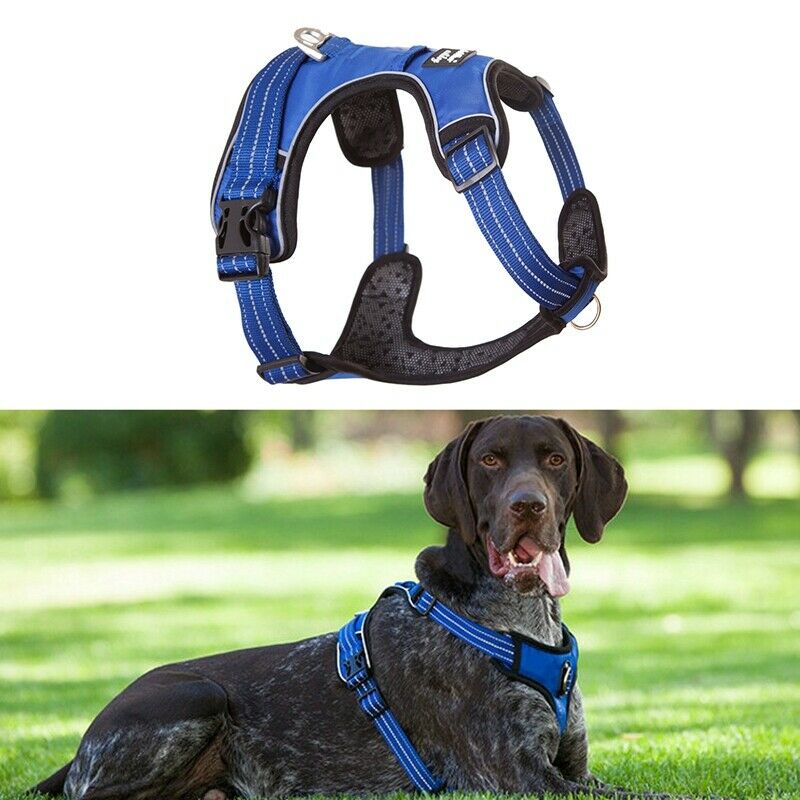 brother cat dog Strong Dog Harness For Dogs Training Vest Medium Big Dogs A