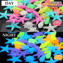 Colorful Conch Outdoor Shell Shaped Luminous Pebbles Glowing Stones