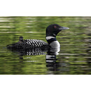 5D DIY Full Drill Diamond Painting Diving Bird Cross Stitch Craft Kit Decor