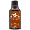 Ginger Essential Oil Pure Natural PREMIUM Uncut Therapeutic Grade Oils Plant