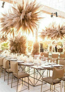 15Pcs/Set Natural Dried Pampas Grass Reed Home Wedding Flower Bunch Decor LY