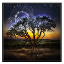 5D DIY Full Drill Diamond Painting Moon Tree Cross Stitch Embroidery Kit