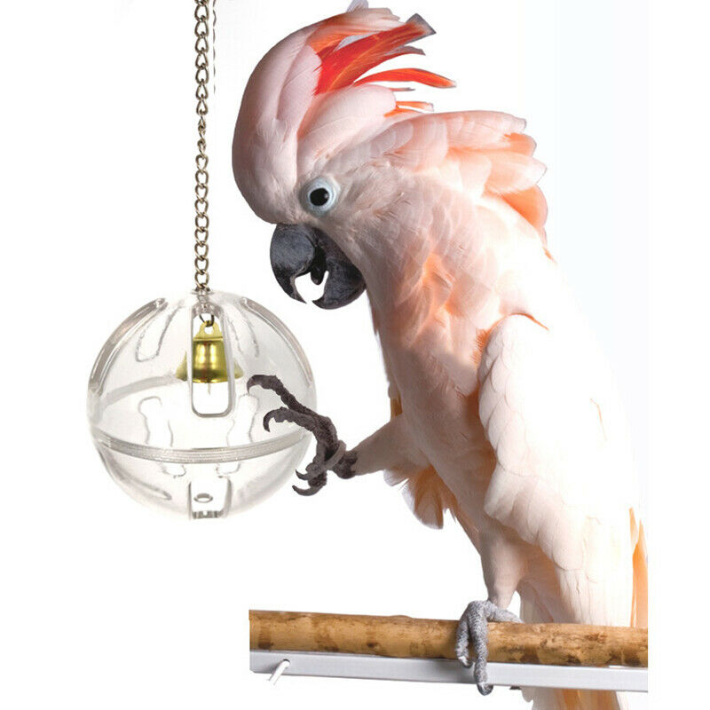 Parrots Ball Feeder Hanging Cage Feeding Birds Bell Foraging Chain For TreatA3C