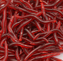 50Pcs Simulation Earthworm Worms Artificial Fishing Lure Tackle Soft Bait 4cm