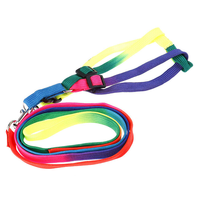 Adjustable Rainbow style Nylon Rabbit Cat Dog collar lead Harness goods for Pets