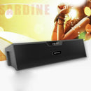 Sardine Bluetooth Speakers with FM Radio, Alarm Clock, Built-in Mic, LED Di