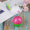 Arrival Durable Pet Cat Toys Mimi Favorite Tumbler Mouse Catch Cats Supplies3C