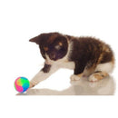 Light Up Dog Balls Flashing Elastic Ball Glow in the Dark Interactive Pet T F9A5
