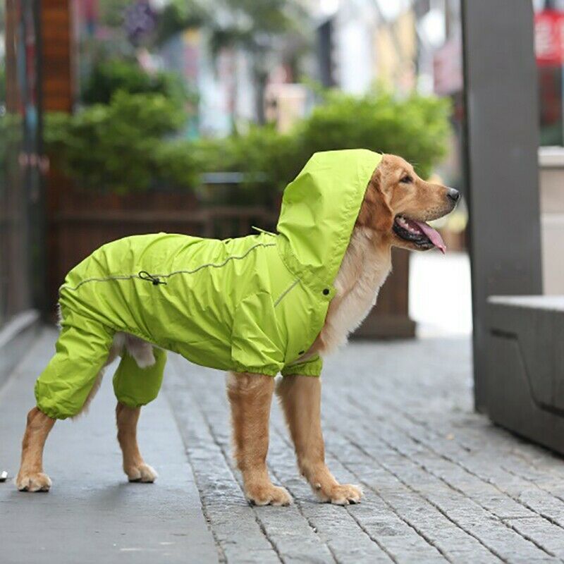 Large Dog Raincoat Hooded Golden Retriever Clothes Medium Big Dog Rain Coat