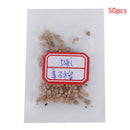 50pcs Guava Seeds Delicious TropiFSl Fruit Seed Non Transgenic Plant BonsTOCA
