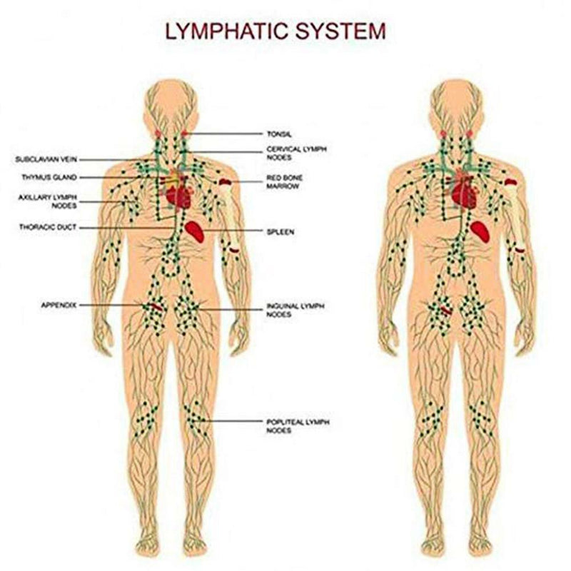 Plant Therapy Lymphatic Drainage Ginger Essential Oil Massage Aromatherapy Rela