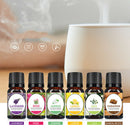 10ml 6 Bottles Essential Oil Box 100% Pure Nature Bottles for Aroma Diffuser