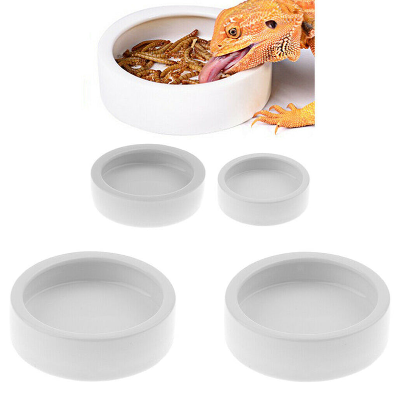 2 Pcs Reptile Ceramic Feeding Dish Food Water Bowl Feeder Worm Basin Tray