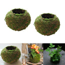 2 Pieces Moss Ball Shape Flower Vase Flower Pot, Creative DIY Gardening Potted