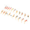 40x HO Gauge Painted 1:100 Peoples Passenger Set Scenery Landscape Decor