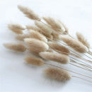 50Pcs Natural Raw Color Dried Flowers Real Flower Bouquet for Home Wedding