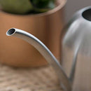 Stainless Steel Watering Kettle Indoor Household Meaty Potted Plants Wateri